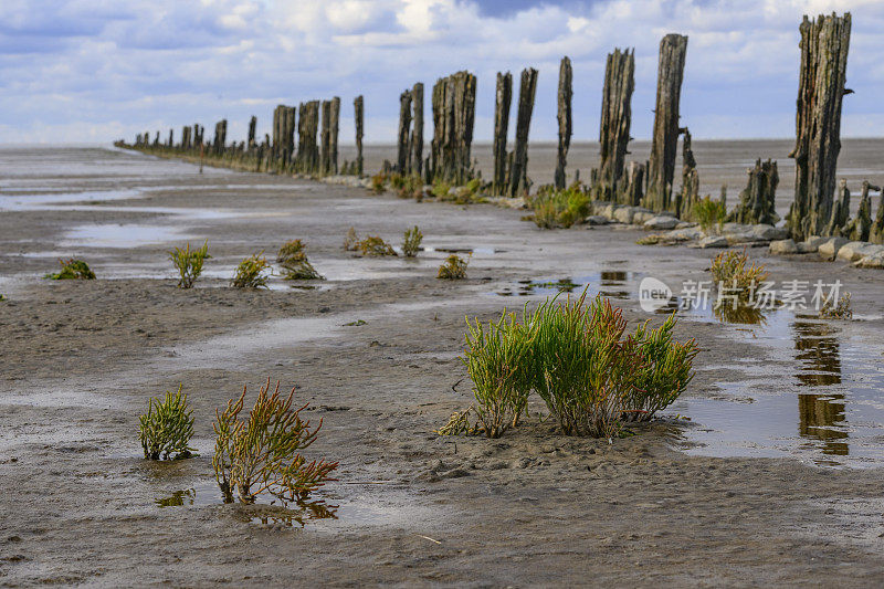 在荷兰北部的瓦登海自然保护区“de Wadden”中，古老的土地开垦柱在空旷的景观中排成一排